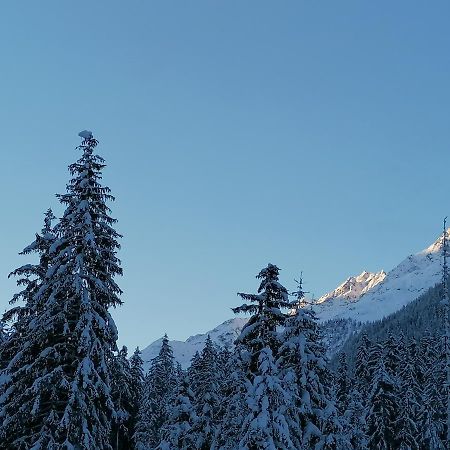 Mooshof Διαμέρισμα Kaunertal Εξωτερικό φωτογραφία